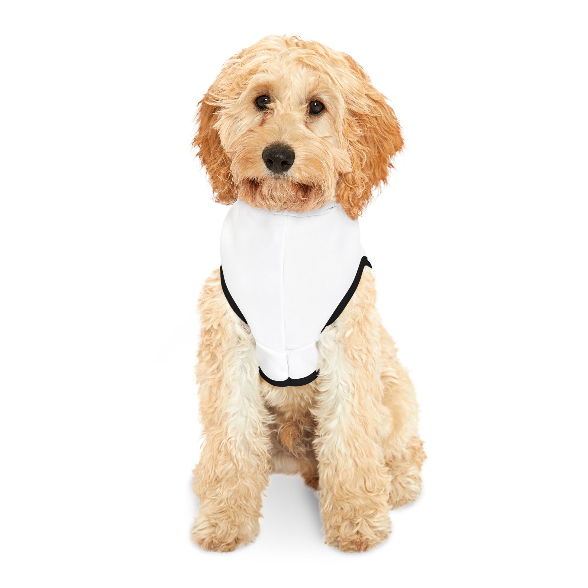 Pet Christmas Hoodie White – Matching Kids and Pets Outfit
