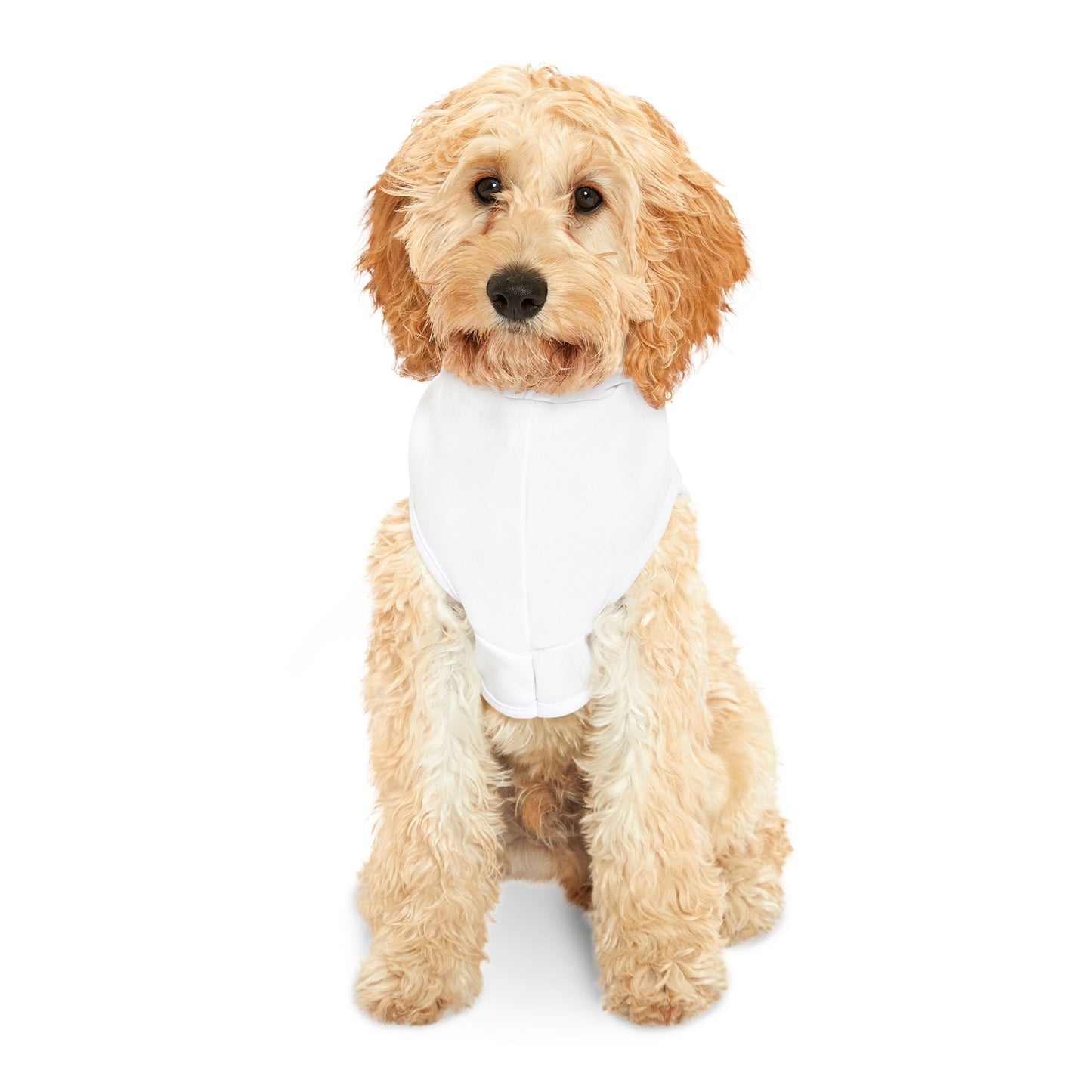 Pet Christmas Hoodie White – Matching Kids and Pets Outfit
