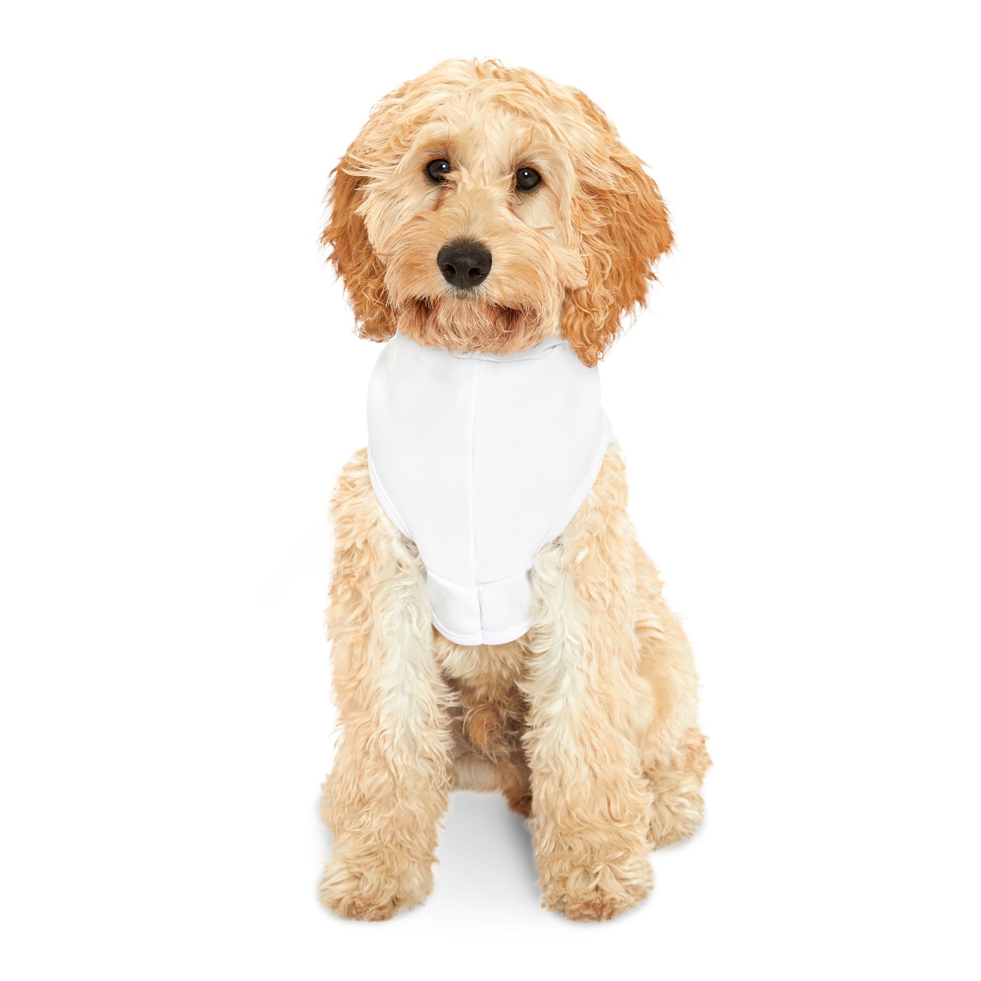 Pet Christmas Hoodie White – Matching Kids and Pets Outfit
